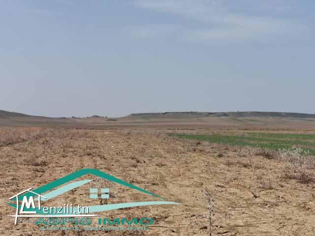 terrain agricole 10540 m² à wed el khatef kelibia