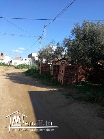 أرض قريبة للبحر حذا البرج قليبية