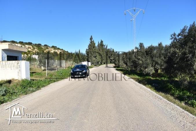 Terrain à Birbouragba 185Md