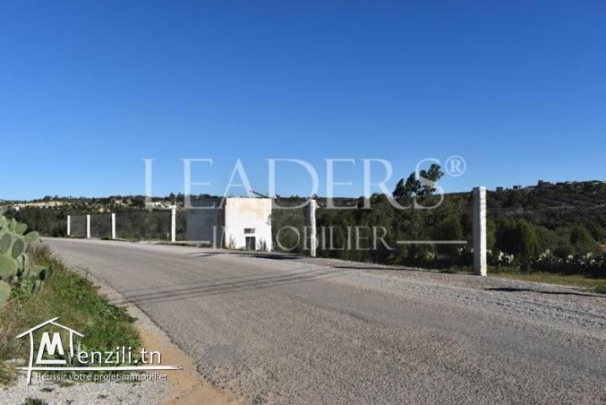 Terrain à Birbouragba 185Md