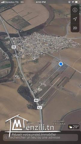 Terrain nu à vendre