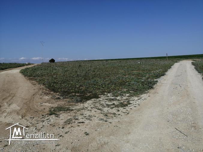 Terrain nu à vendre