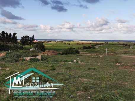 terrain d'habitation 500 m² à 1 km de plage kerkouan kelibia
