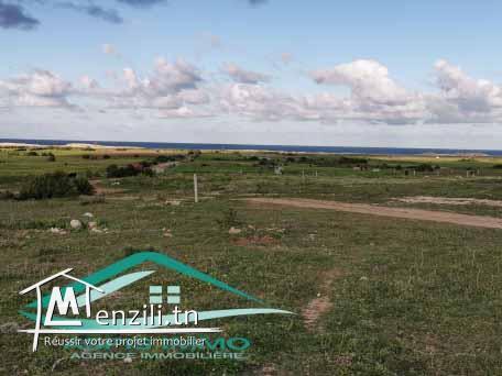 terrain d'habitation 500 m² à 1 km de plage kerkouan kelibia