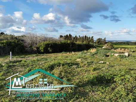 terrain d'habitation 500 m² à 1 km de plage kerkouan kelibia