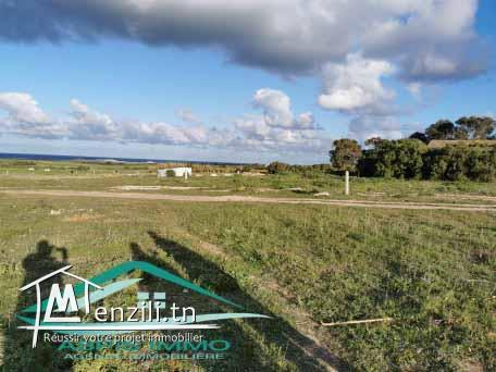 terrain d'habitation 500 m² à 1 km de plage kerkouan kelibia