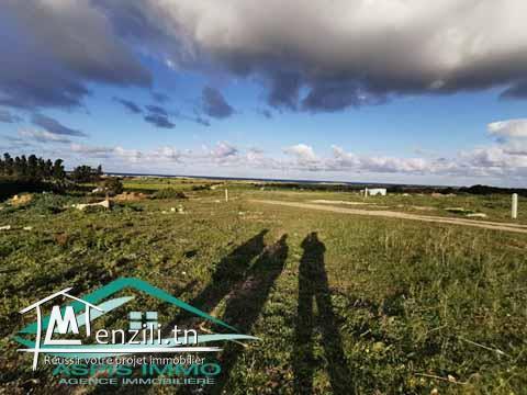 terrain d'habitation 500 m² à 1 km de plage kerkouan kelibia