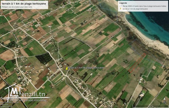 terrain d'habitation 238 m² à 1 km de plage  kerkouan