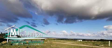 terrain d'habitation 238 m² à 1 km de plage  kerkouan