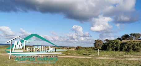 terrain d'habitation 238 m² à 1 km de plage  kerkouan