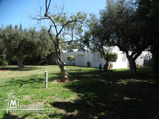 DEMEURE AZIZA V1094 MME SERINE