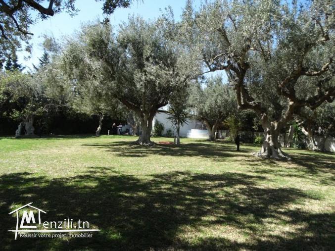 DEMEURE AZIZA V1094 MME SERINE