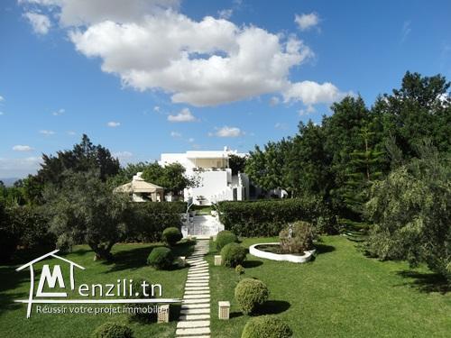 VILLA SAFARI V851 MME SERINE