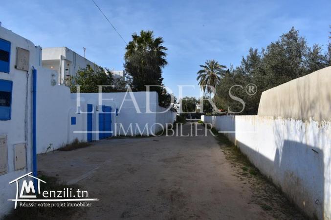 terrain de  600 m² a hammamet