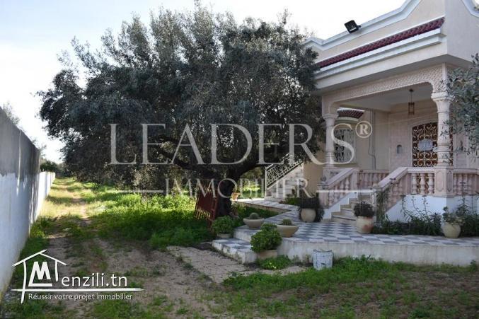 terrain de  600 m² a hammamet