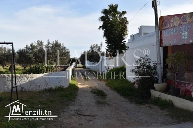 terrain de  600 m² a hammamet
