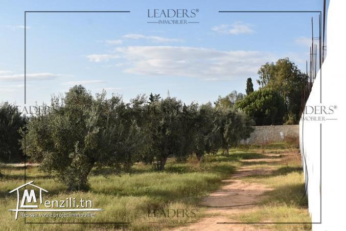 superbes terrain entouré par des voisinages situés à Craxi Hammamet