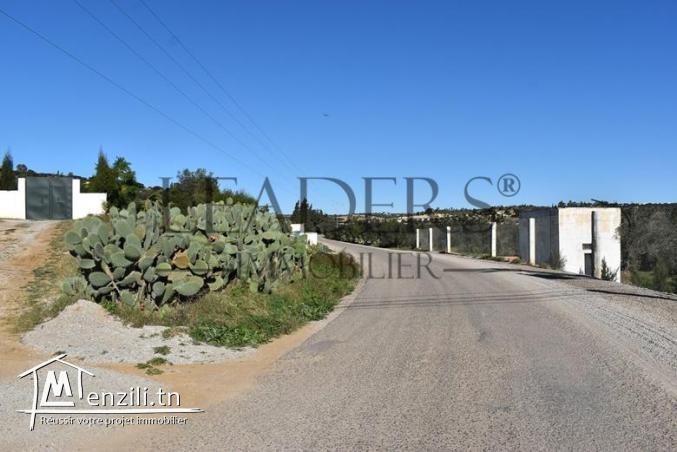 Terrain 3700 m² à birbouragba