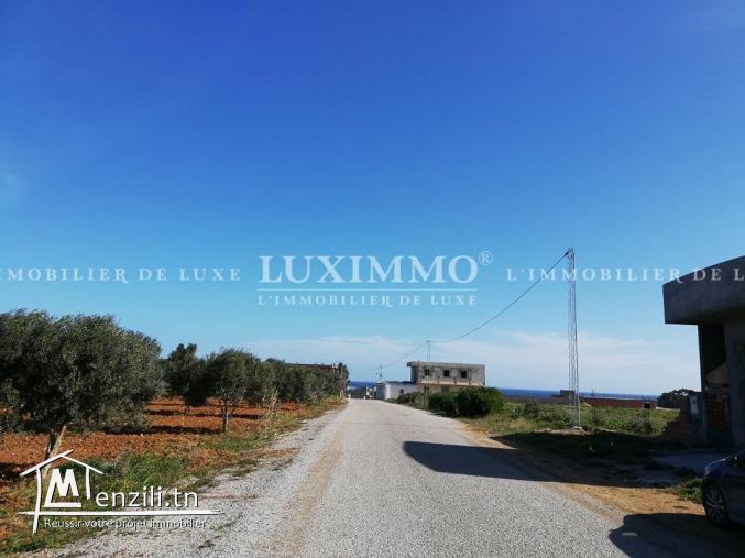 TERRAIN TITRE BLEU ADAR ALLOUCHE