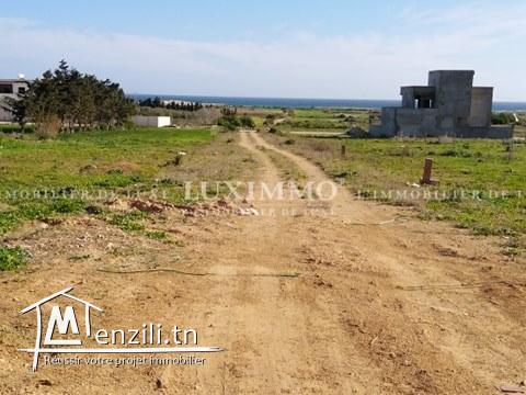 TERRAIN TITRE BLEU ADAR ALLOUCHE