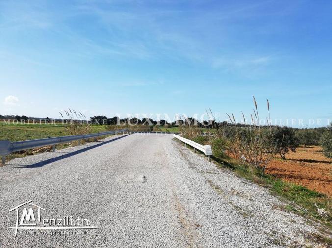 TERRAIN TITRE BLEU ADAR ALLOUCHE