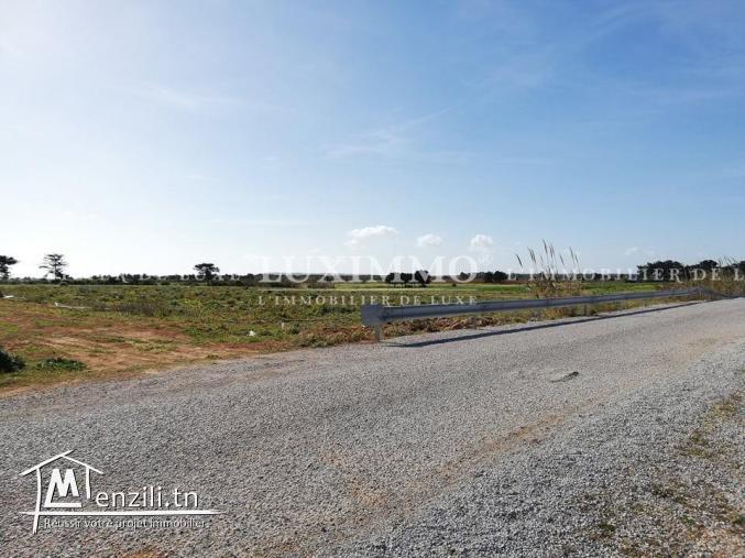 TERRAIN TITRE BLEU ADAR ALLOUCHE