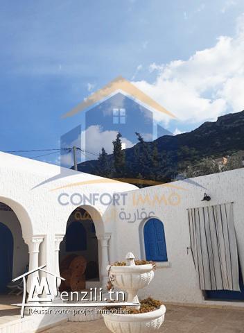 Villa arabesque Rafraf
