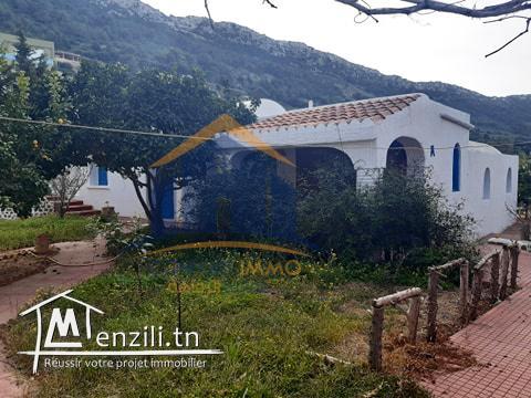 Villa arabesque Rafraf