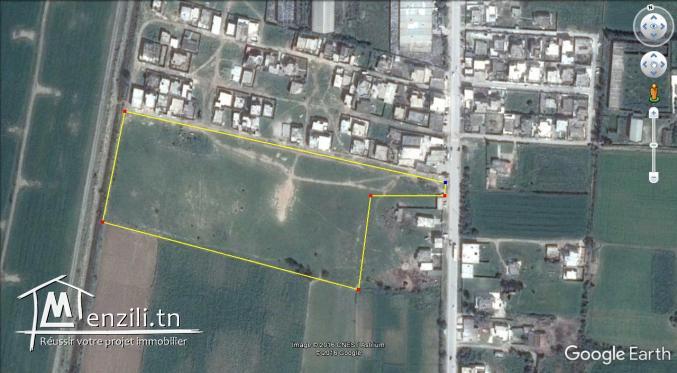 Vente terrain vocation UAa1 de 41.000 m2 à Jdeida cité ennour