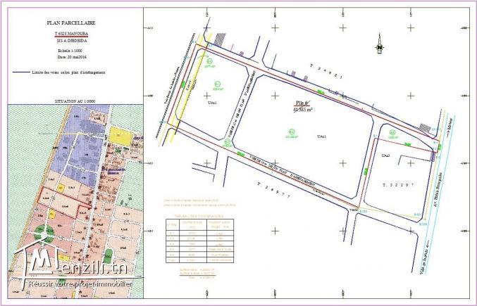 Vente terrain vocation UAa1 de 41.000 m2 à Jdeida cité ennour