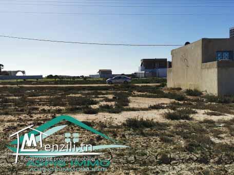 terrain d'habitation 321 m² à Ain Grinz Kelibia