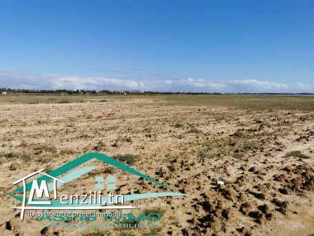 terrain d'habitation 321 m² à Ain Grinz Kelibia