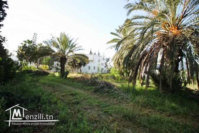 Bâtisse sur 3995 m2 à 500 mètres de la Closerie à la Soukra