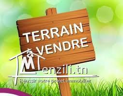 Terrain Vue Mer a hammemet