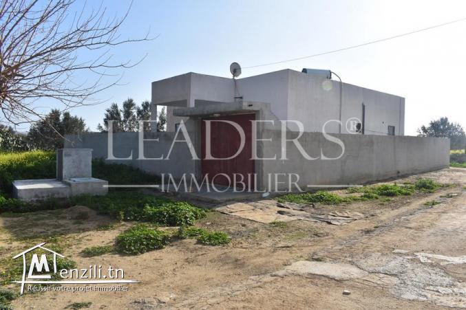 une maison à sidi_hamed_hammamet S+3 ▶️Prix :185MD contactez-nous sur le +216 27 246 317