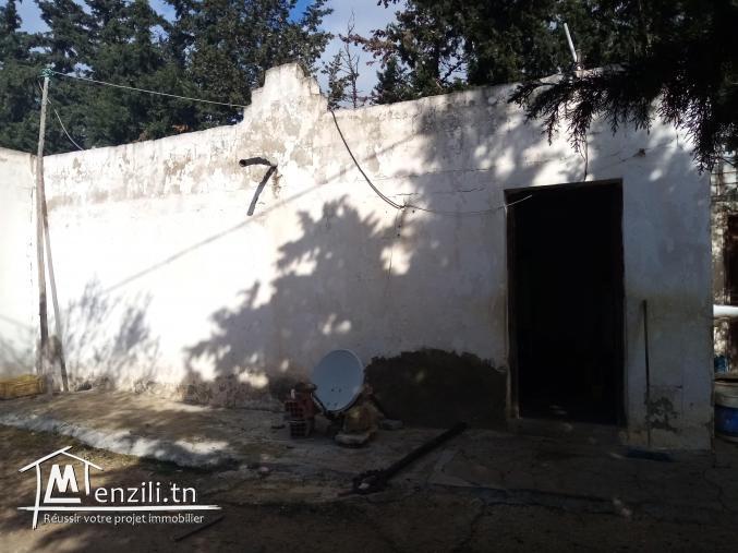 Ferme à Baddar Takelsa