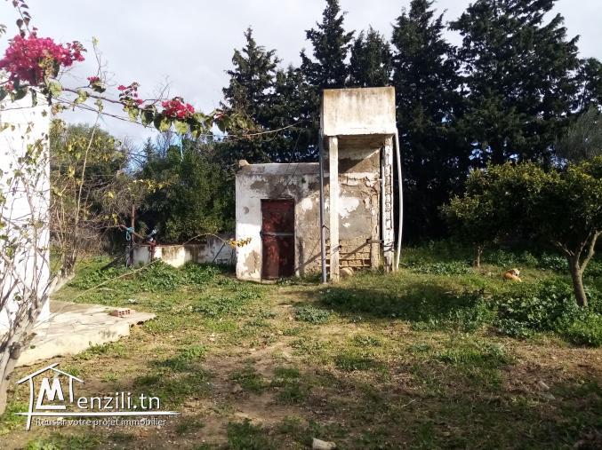 Ferme à Baddar Takelsa