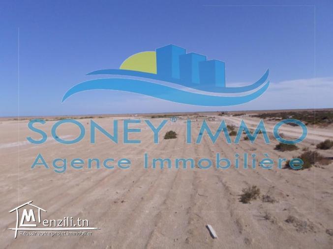 Terrain à chaffar sfax avec titre foncier