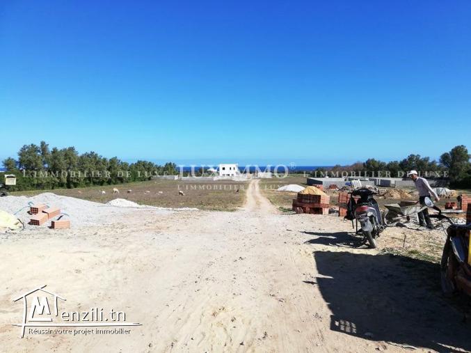 terrain de 208 m2 a kerkouene