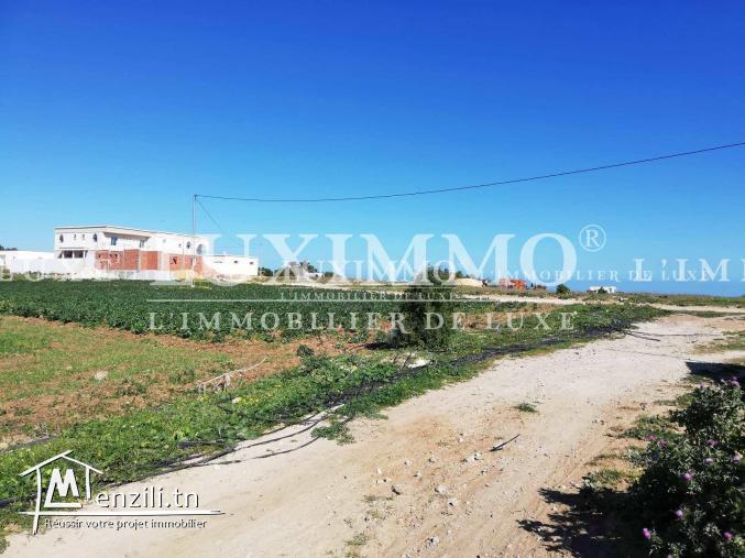 terrain de 208 m2 a kerkouene