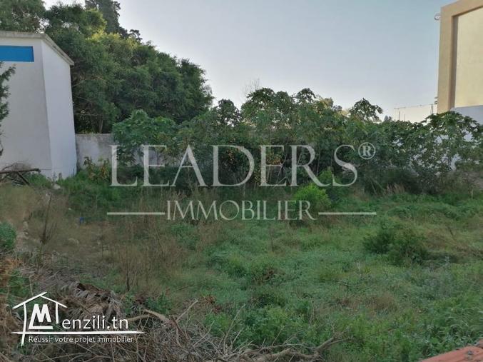 un superbe terrain à 5 km de Yasmine  Hammamet 27246310