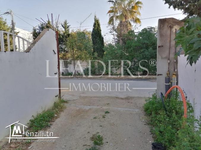 un superbe terrain à 5 km de Yasmine  Hammamet 27246310