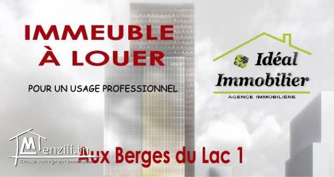 A louer un immeuble pour un usage professionnel au Lac 1