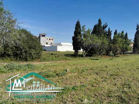 terrain d'habitation 279 m² à kelibia 2ème position de route principale kelibia hammem ghzez