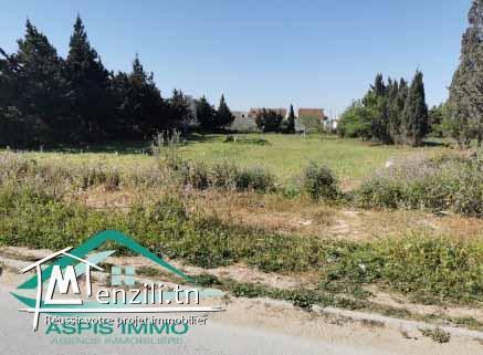 terrain d'habitation 279 m² à kelibia 2ème position de route principale kelibia hammem ghzez