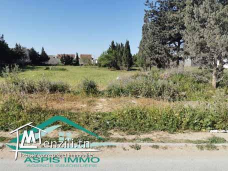 terrain d'habitation 279 m² à kelibia 2ème position de route principale kelibia hammem ghzez