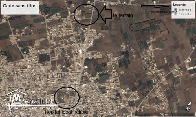 terrain d'habitation 279 m² à kelibia 2ème position de route principale kelibia hammem ghzez