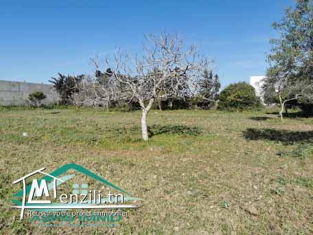 terrain d'habitation 279 m² à kelibia 2ème position de route principale kelibia hammem ghzez