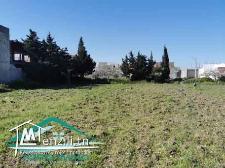 terrain d'habitation 279 m² à kelibia 2ème position de route principale kelibia hammem ghzez