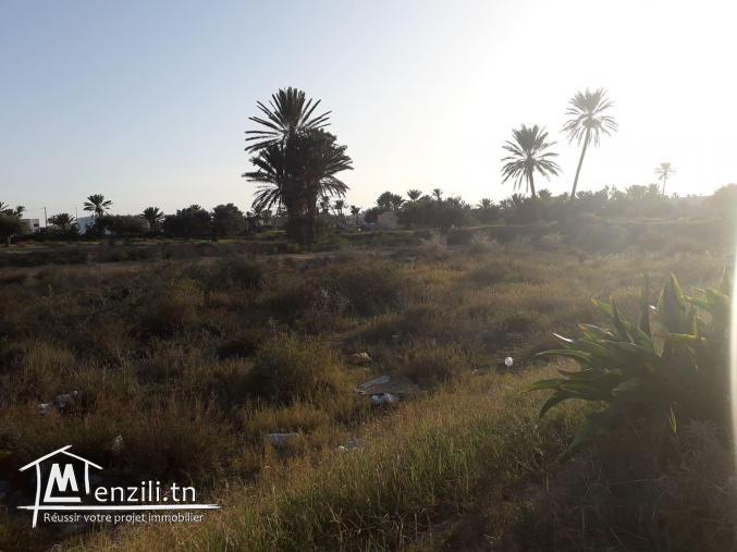 Terrain à vendre dans un zone urbaine a midoun 